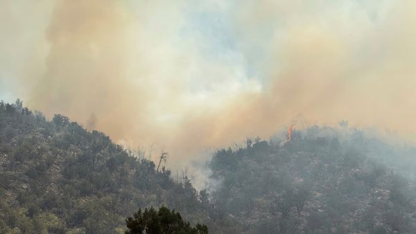 Deer Canyon Update: Incident Commander Identified, Acting Undersheriff Says Residents May Move Freely