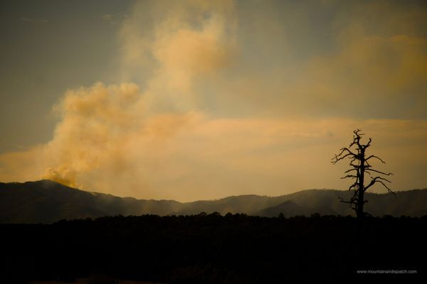 Whiskey Fire Grows to 351 Acres as Blanco, Cerro Fires Near Containment
