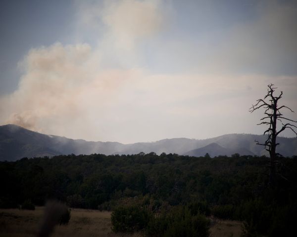 Whiskey Fire Grows to 351 Acres as Blanco, Cerro Fires Near Containment