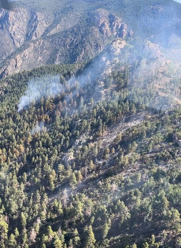 Whiskey Fire in Manzano Mountains Now 42 Percent Contained, Forest Service Returns Control to Local District