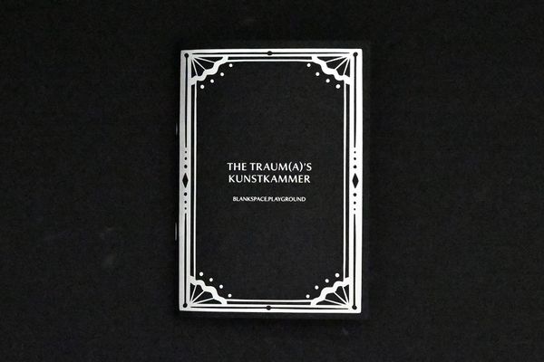 cover of zine 'the traum(a)'s kunstkammer'