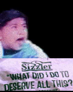 5 Count: December 16-31, 2024