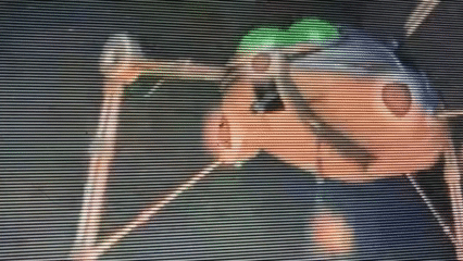 5 Count:  July 1-15, 2025