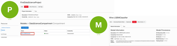 Oracle Data Science - Accelerated Data Science SDK Configuration