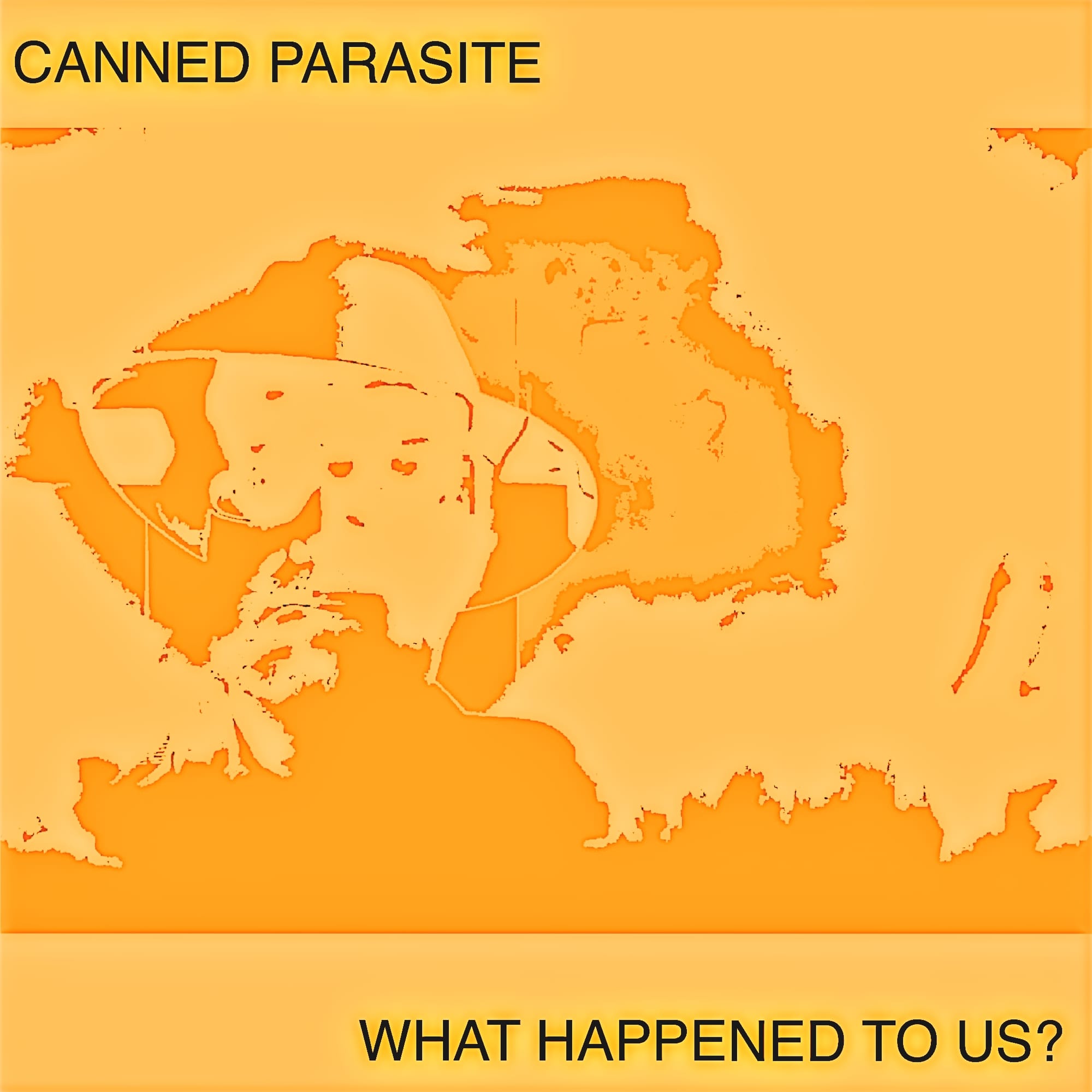 The album cover for What Happened To Us? A headshot in hues of orange that appears to be exploding in a somewhat atomic manner.