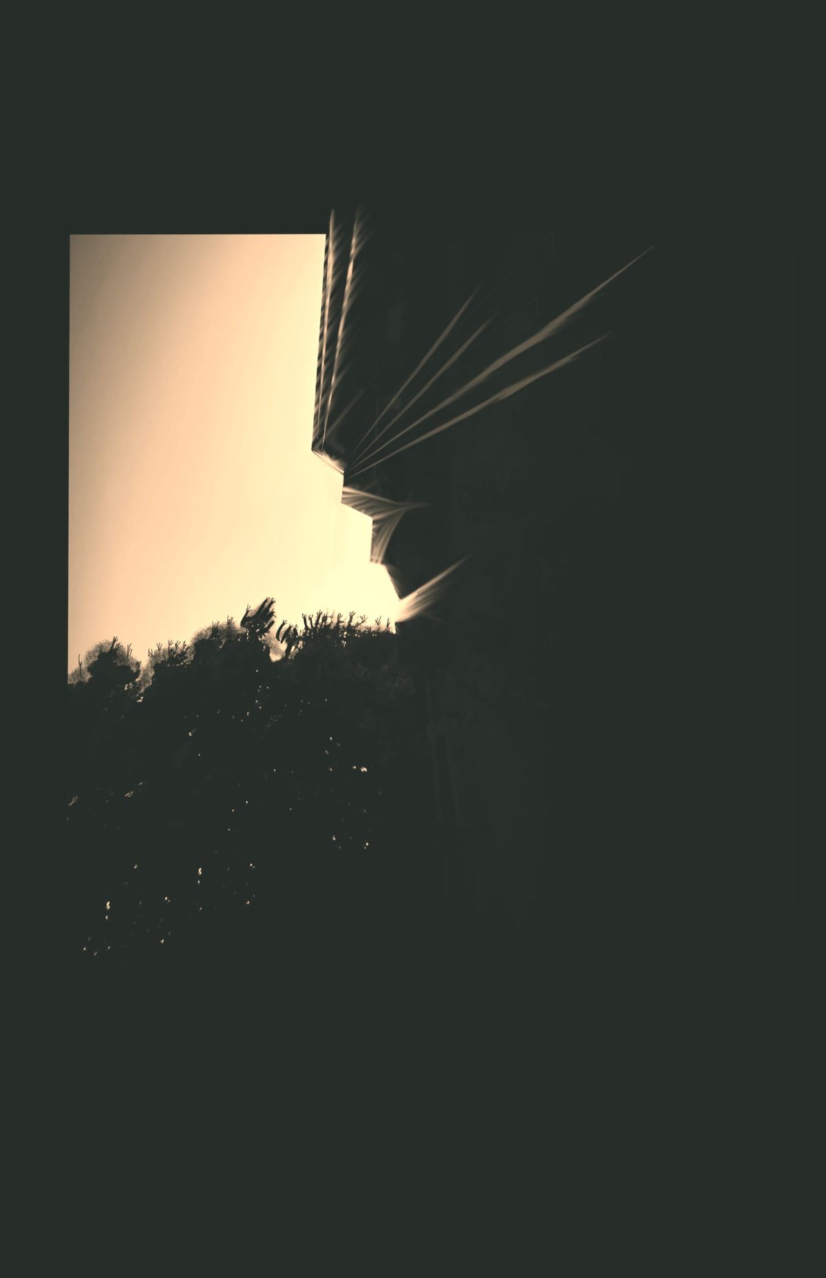 Abstract mixed media image predominantly in black, backlit, suggestive feminine hominid-esque subject