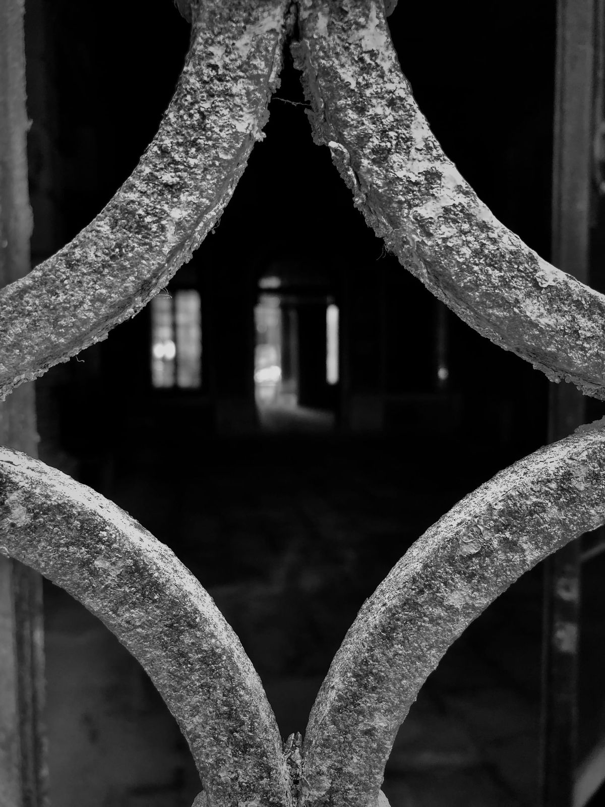 black and white close up photo of a section of a heavily corroded but structurally strong iron gate