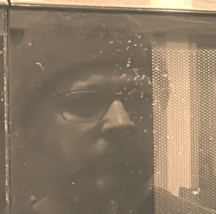 Semi obscured photo of human