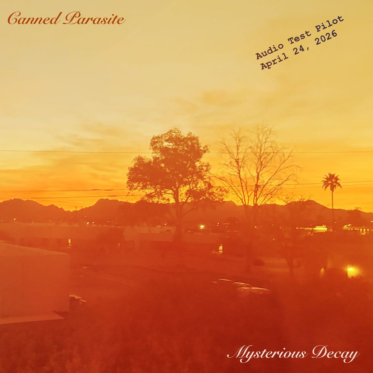 An overexposed looking sunset of a vaguely arid suburban landscape with mountains in the background.