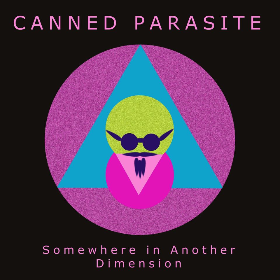 Somewhere in Another Dimension