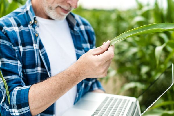 Már beadhatók az Egységes Kérelmek