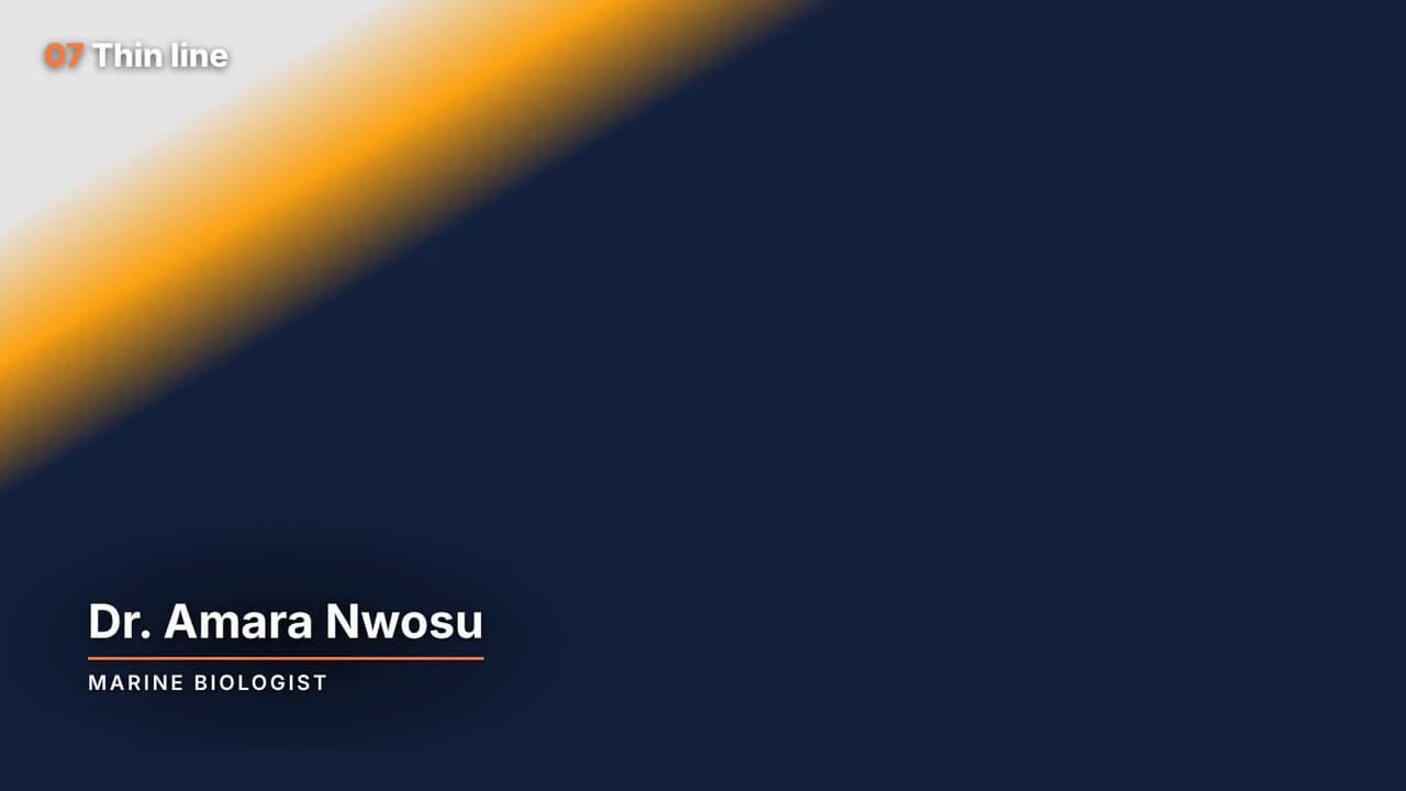 A thin line lower third with white text and an orange line