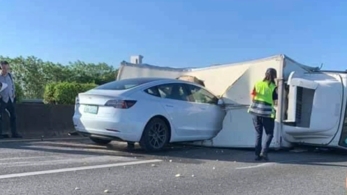 Roundup: What's in the Tesla Files?