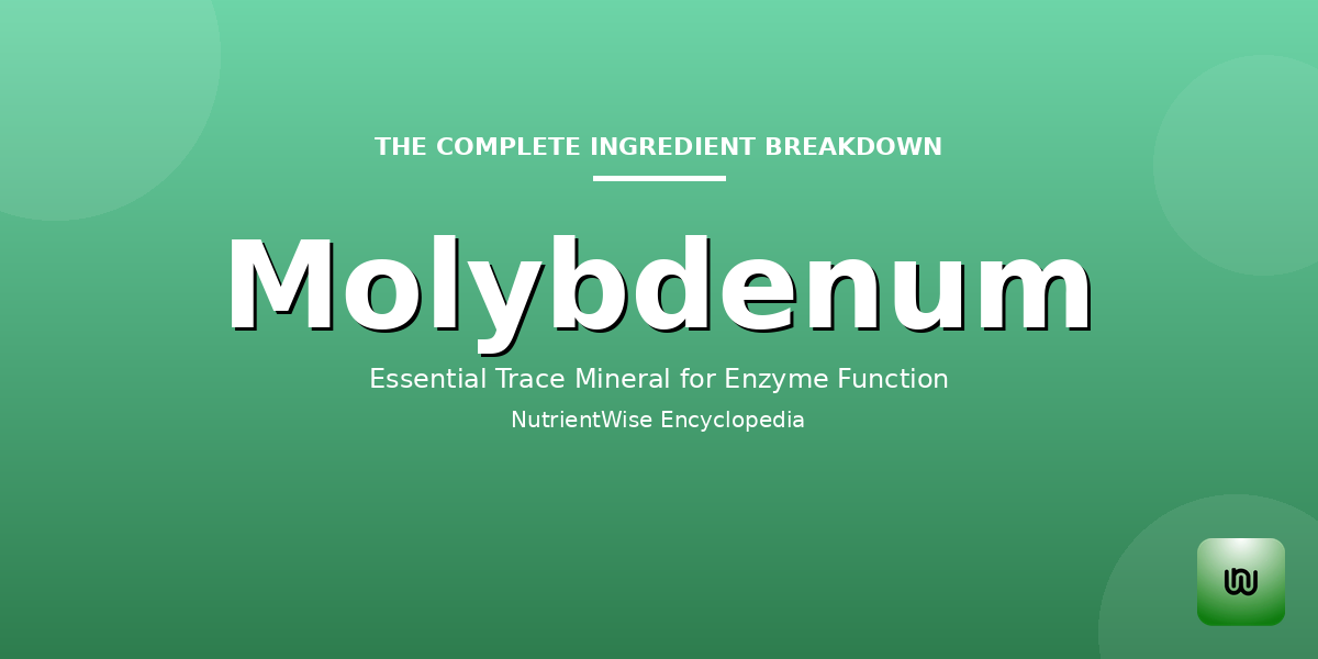 The Complete Ingredient Breakdown: Molybdenum
