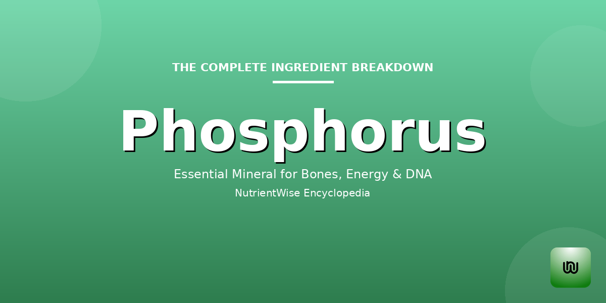 The Complete Ingredient Breakdown: Phosphorus