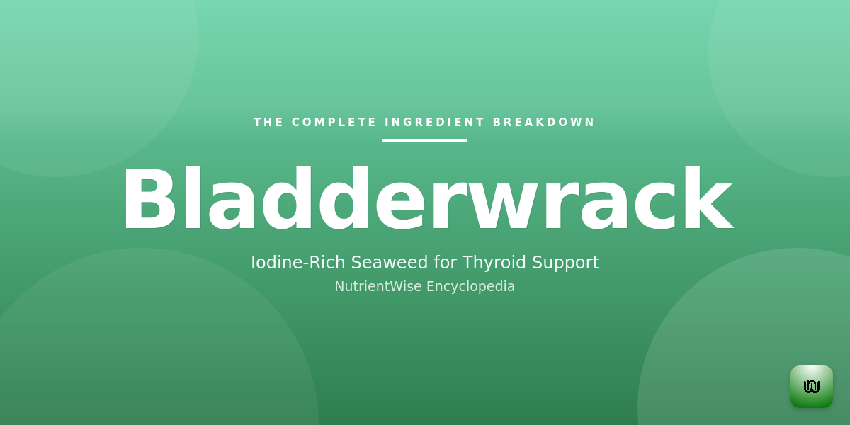 The Complete Ingredient Breakdown: Bladderwrack