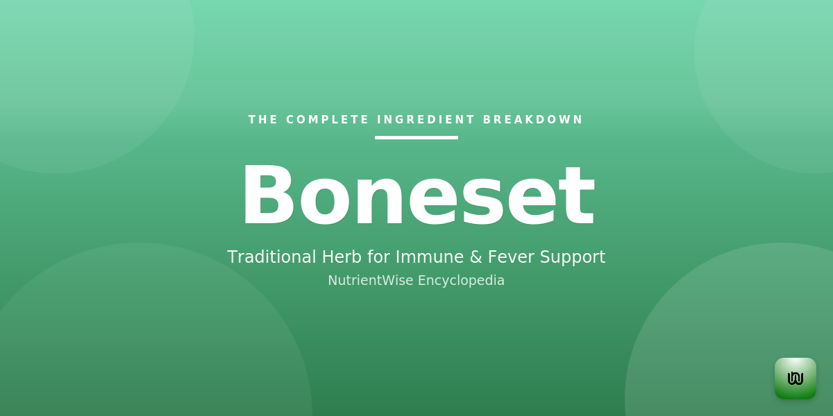 The Complete Ingredient Breakdown: Boneset