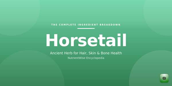 The Complete Ingredient Breakdown: Horsetail