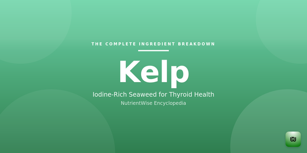 The Complete Ingredient Breakdown: Kelp