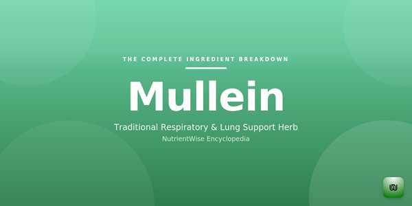 The Complete Ingredient Breakdown: Mullein
