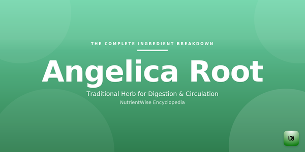 The Complete Ingredient Breakdown: Angelica Root
