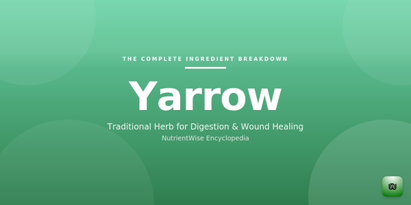 The Complete Ingredient Breakdown: Yarrow