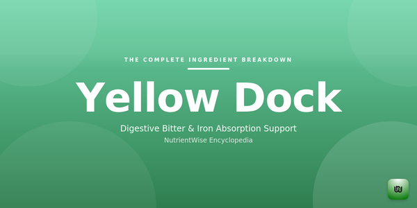 The Complete Ingredient Breakdown: Yellow Dock