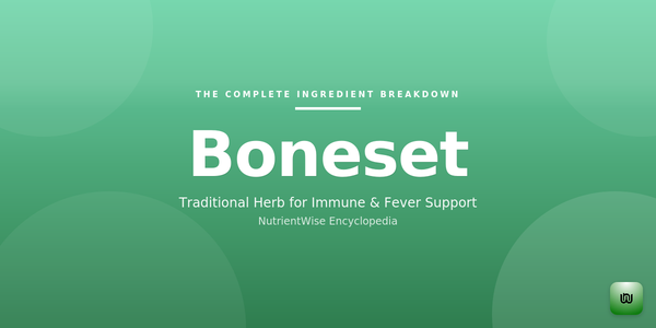 The Complete Ingredient Breakdown: Boneset