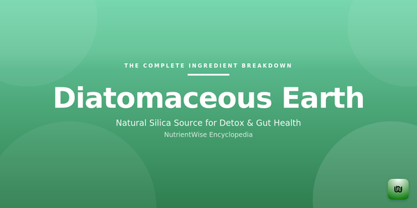 The Complete Ingredient Breakdown: Diatomaceous Earth