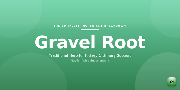 The Complete Ingredient Breakdown: Gravel Root