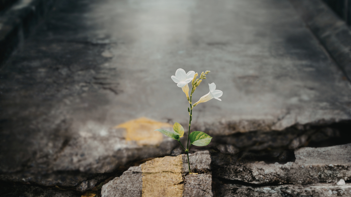 Praying for Small Things
