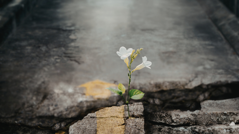 Praying for Small Things