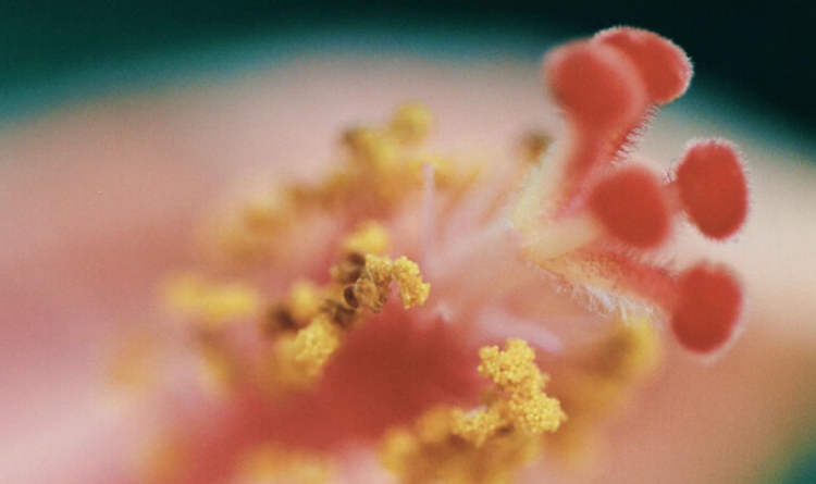 The Work That Was Always There