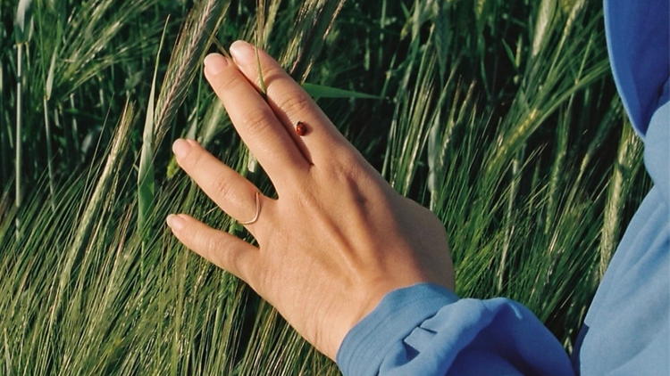 What Deserves Attention