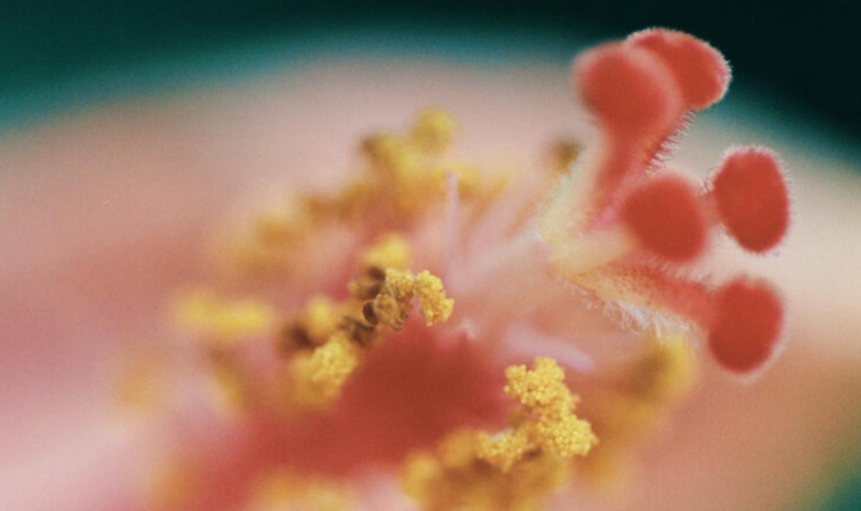 The Work That Was Always There