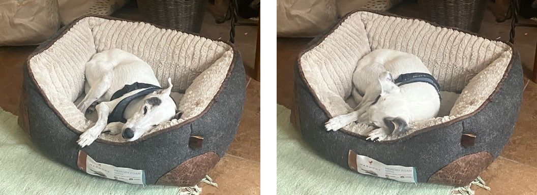 this morning, with night approaching