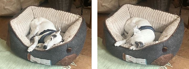 this morning, with night approaching