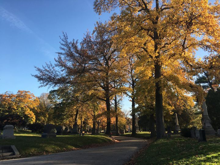 a road in a cemetery, with grave markers on both sides. Trees with the yellow leaves of autumn stand over the road