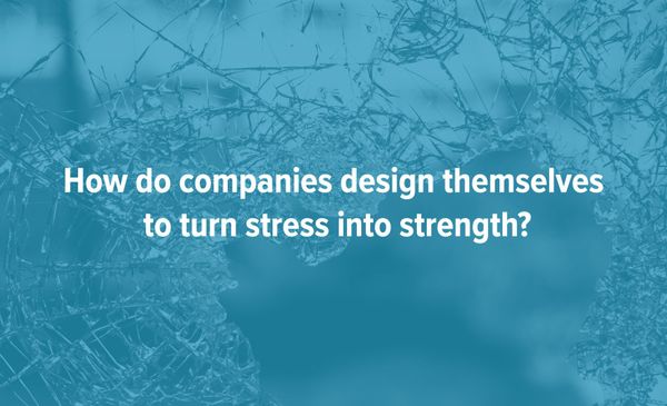 How To Build Antifragile Companies