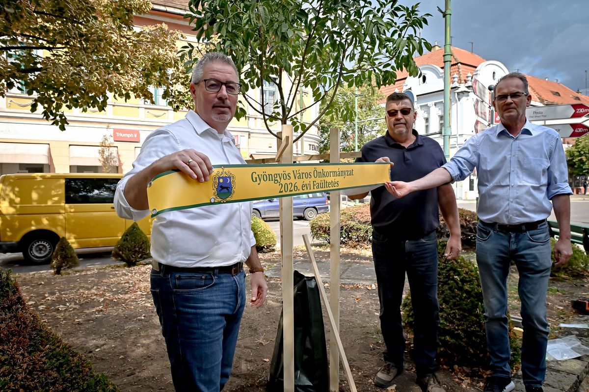 Megkezdődött a városi fásítási program Gyöngyösön