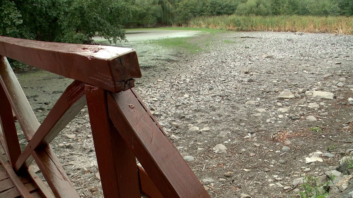 Kiszáradt a mátrai Sástó, megszűnhet a tó állandó vizű státusza
