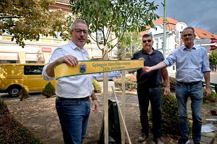 Megkezdődött a városi fásítási program Gyöngyösön