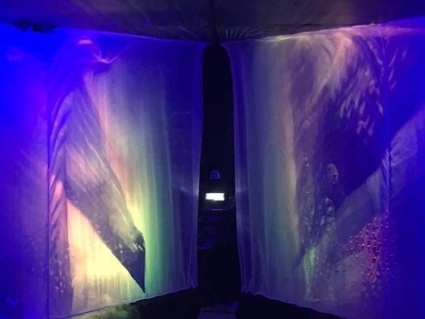 A pair of curtains with images of animals

Description automatically generated