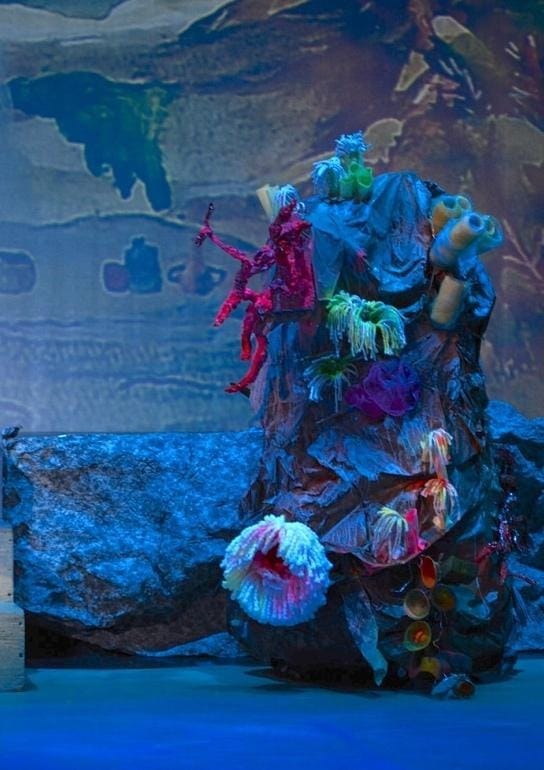 A close-up of a coral reef

Description automatically generated