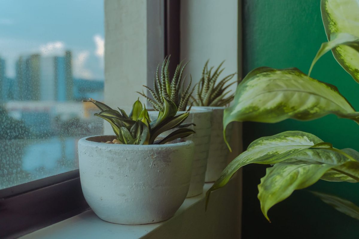 Journey to 55 5-Star Reviews on Airbnb