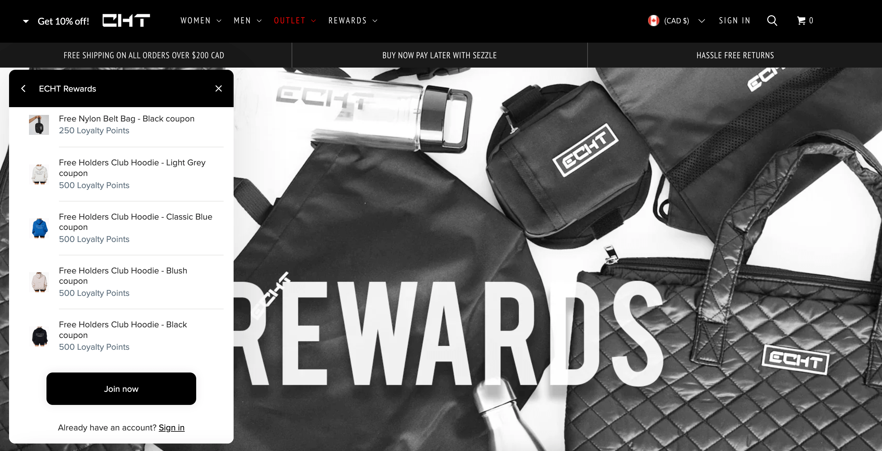 Echt’s rewards program explainer page showing images of the exclusive reward-only products in the rewards panel. The rewards include a free nylon belt bag for 250 points, and Free Holders Club Hoodies in light grey, blue, blush, and black for 500 points each.