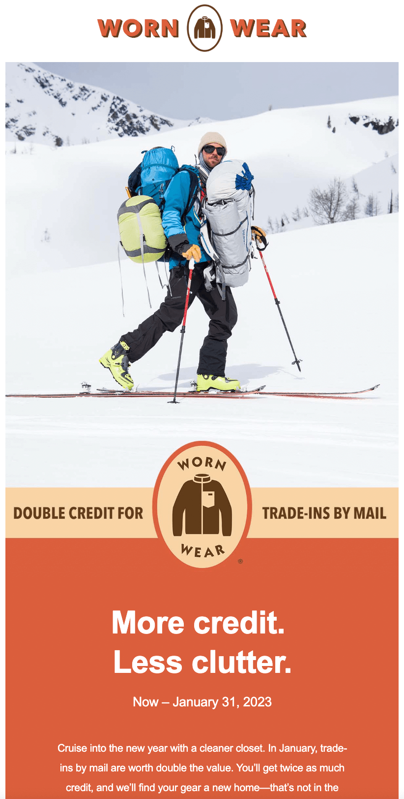 email screenshot of patagonias double credit campaign