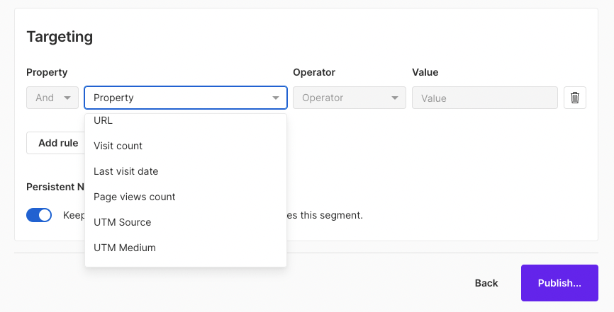 screenshot of wisepops ux app