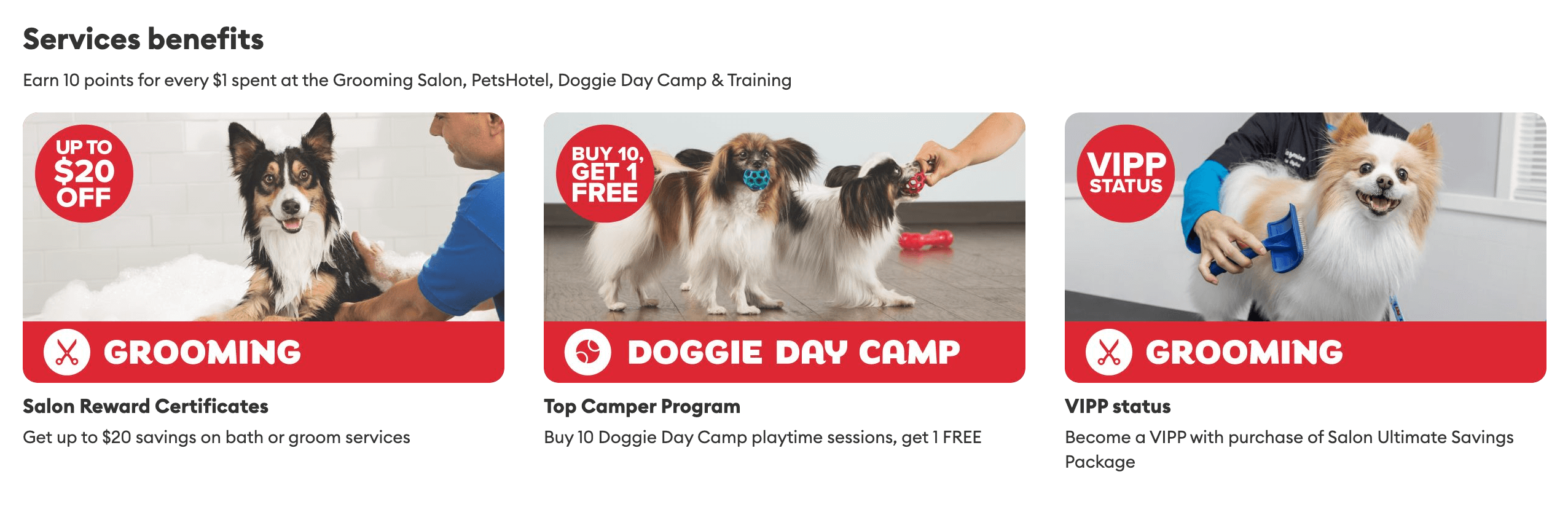 A screenshot of PetSmart’s Service benefits such as grooming discounts, Doggie Day Camp, and automatic VIPP status.&nbsp;
