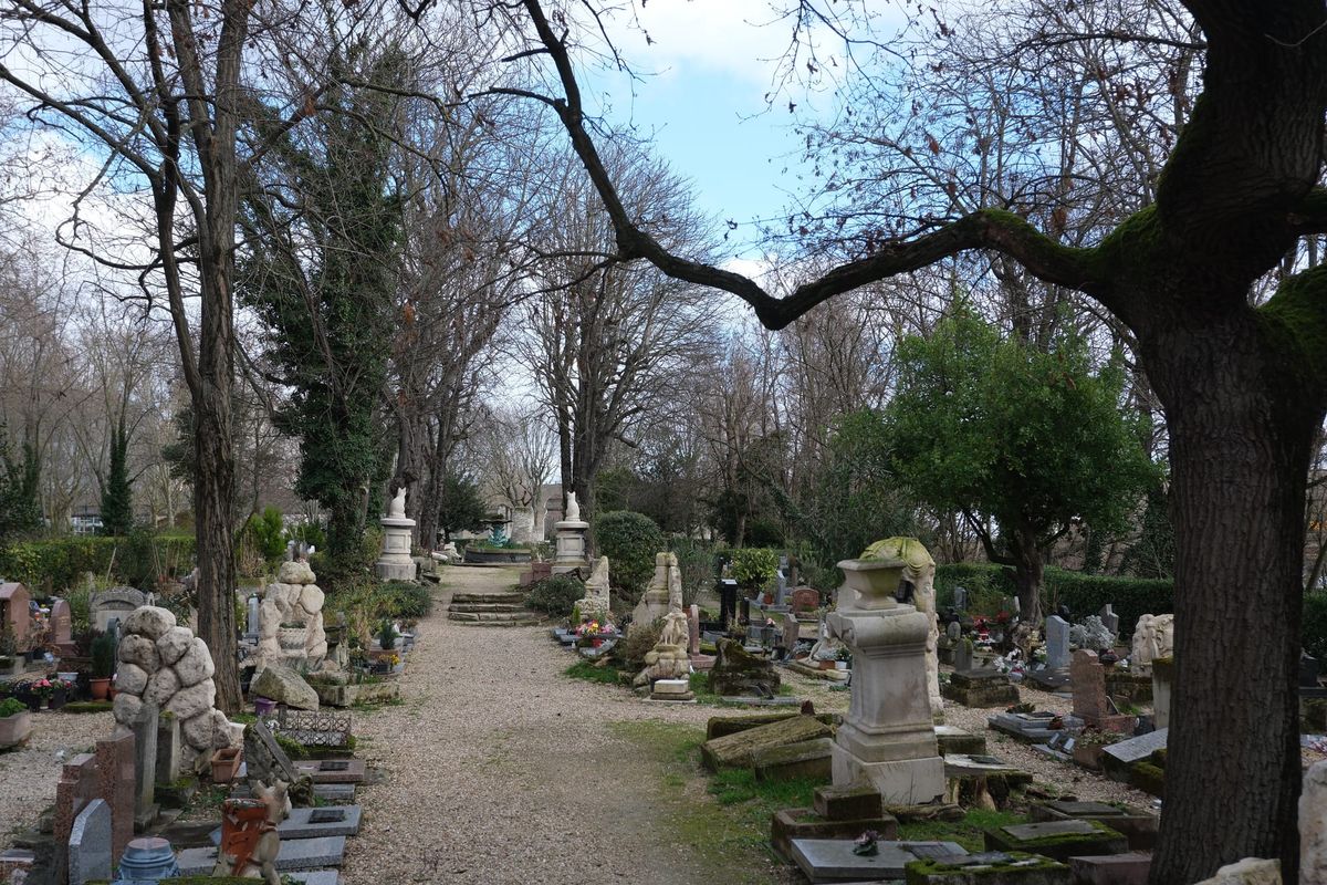 Meow Father Who Art in Heaven